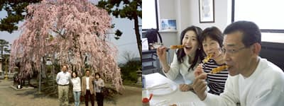 去年(2004年)のお花見