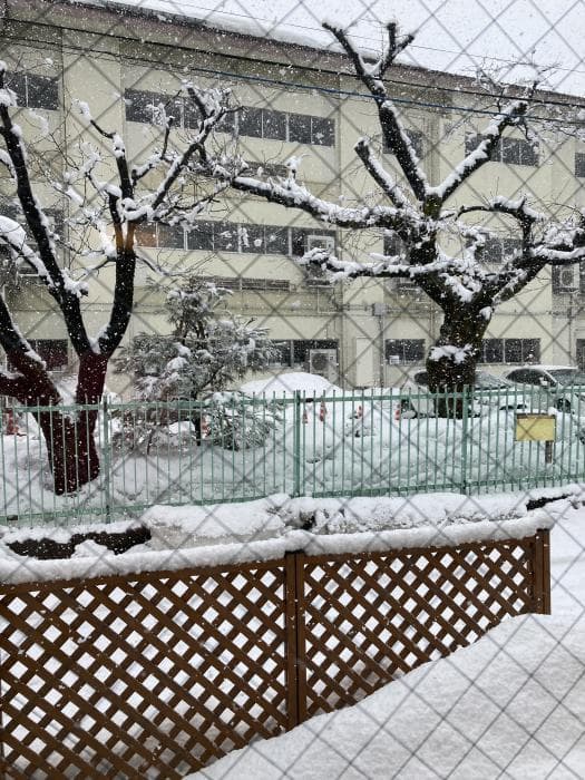 今日は3月6日だよ?